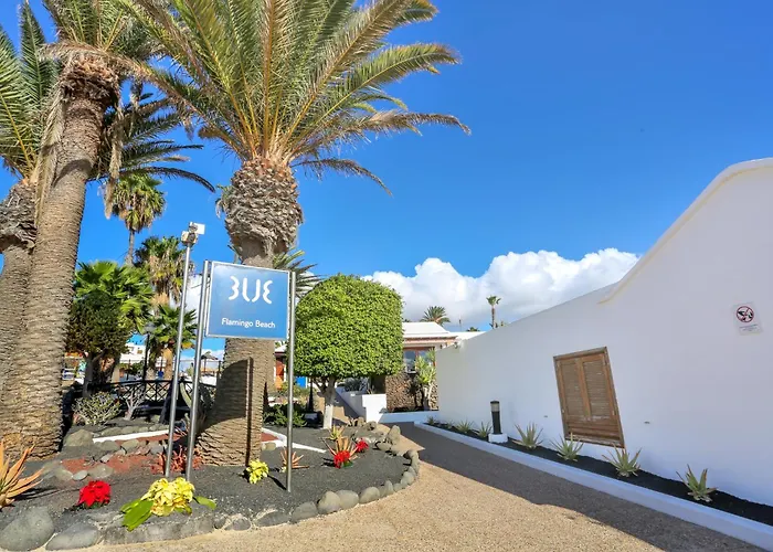 Playa Flamingo Margarita Playa Blanca (Lanzarote)